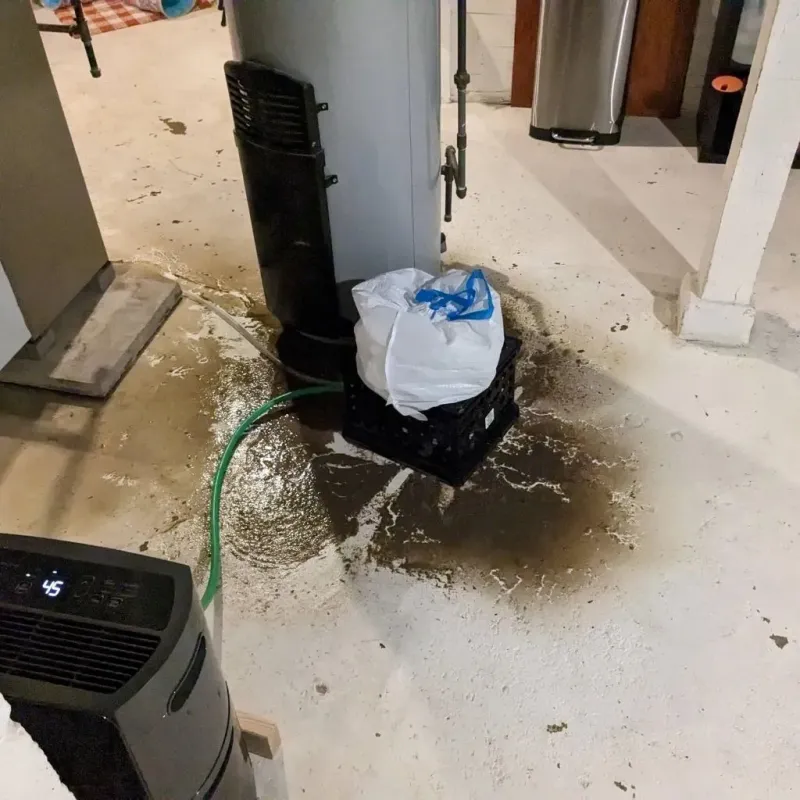 Sewage Backup Cleanup Service in Jasper, AL